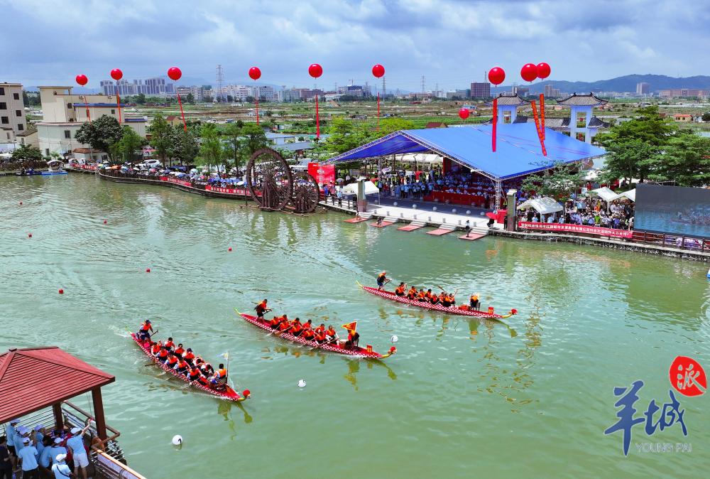 红旗镇乡村龙舟赛作为珠海市金湾区红旗镇的特色体育品牌项目,具有