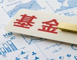 龙年基金发行开门红24只新基首个交易日扎堆叫卖