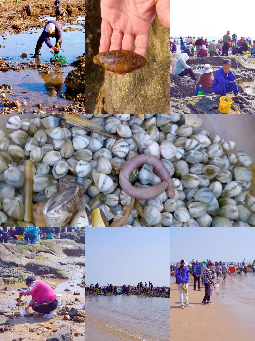 日照赶海园有哪些,赶海季,大家快一起来玩吧_腾讯新闻