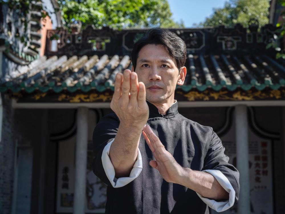 看我岭南咏春拳能打又耍帅