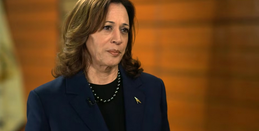 tiktok宣布只退不卖后美副总统第一时间回应我们无意对其封禁