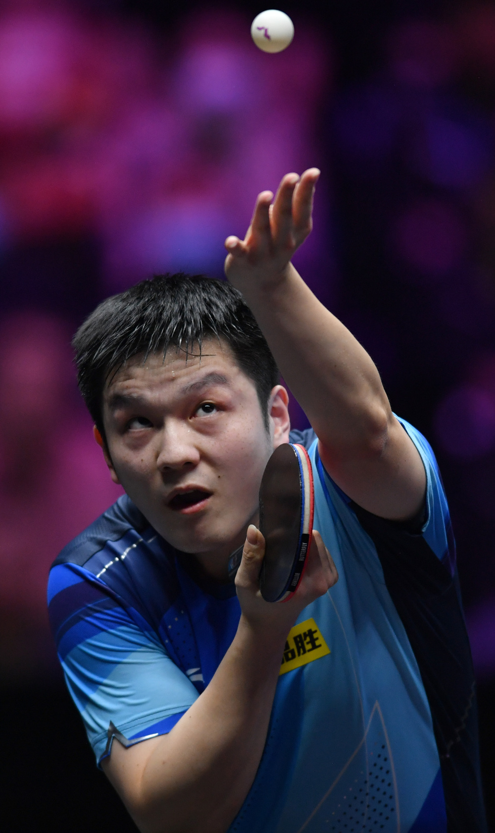 体育乒乓球wtt新乡冠军赛樊振东男单夺冠2