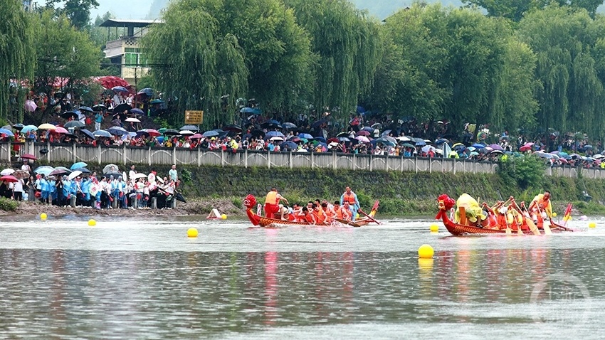 本次龍舟賽有來自忠縣汝溪鎮,烏楊鎮,洋渡鎮,忠州街道,白公街道,新生