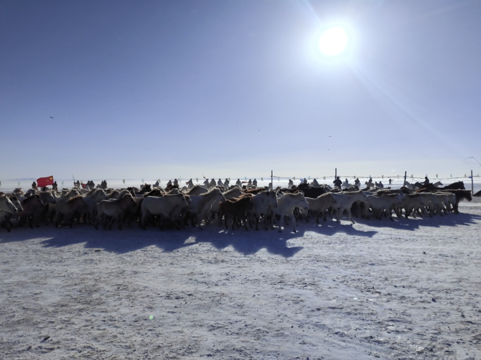 锡林郭勒盟冬季冰雪那达慕拉开帷幕
