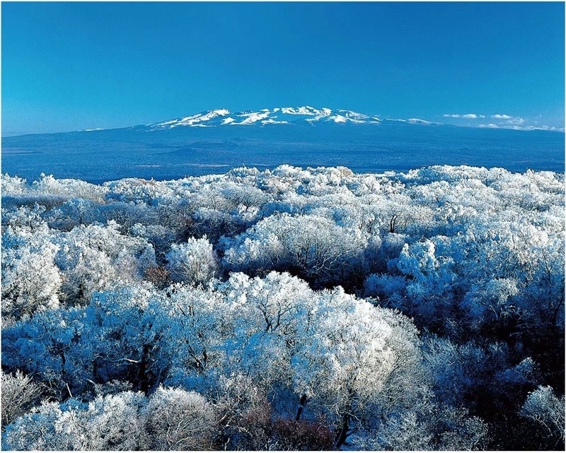 长白山雪景