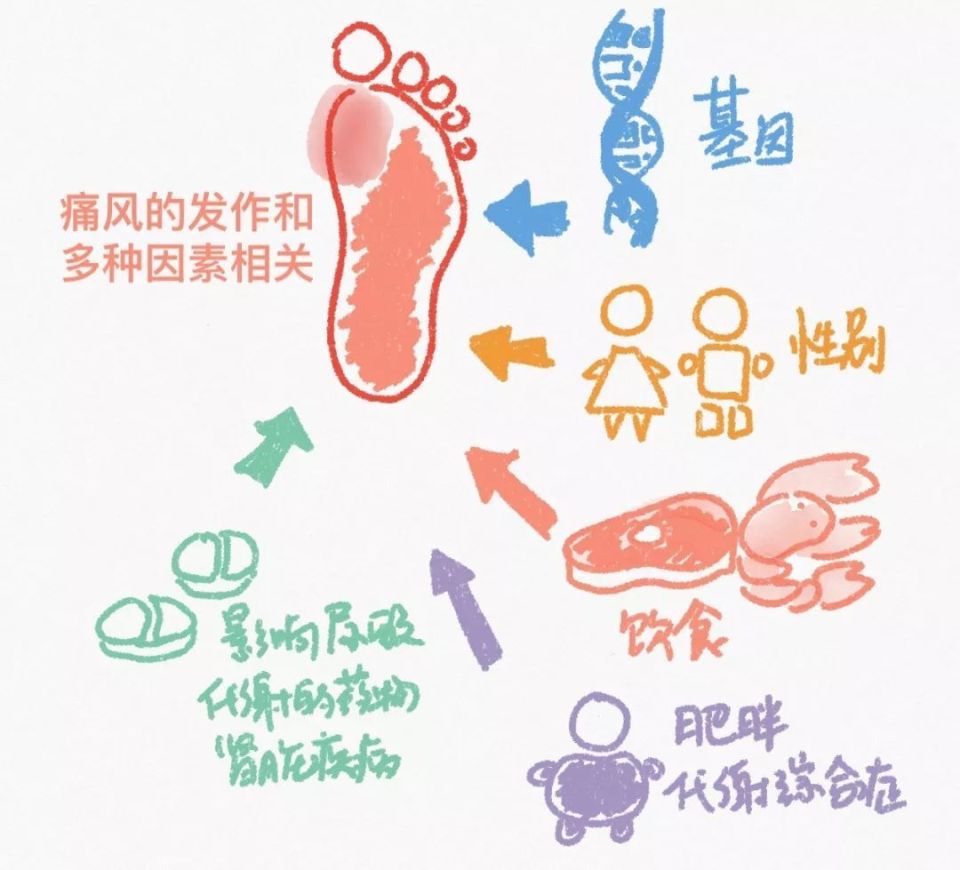 【科普营养】 痛风患者:"喝什么""如何喝"更关键!