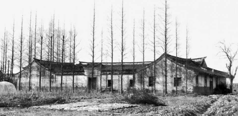 见过吗?丨闵行情