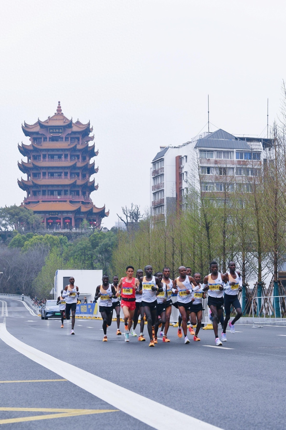 相约春天赏樱花丨武汉马拉松首次在樱花季开跑杨定宏打