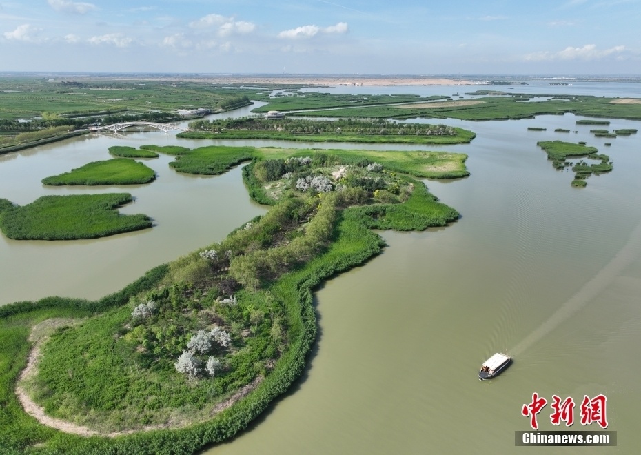 航拍宁夏沙湖湿地夏日风光 沙水相依呈现美丽画卷