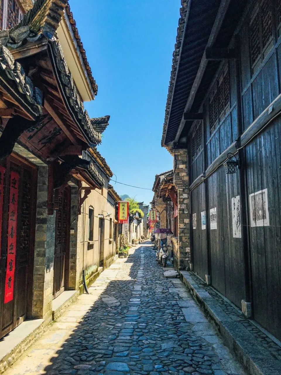 看龙舟赛,观赏民俗,还免门票!期待