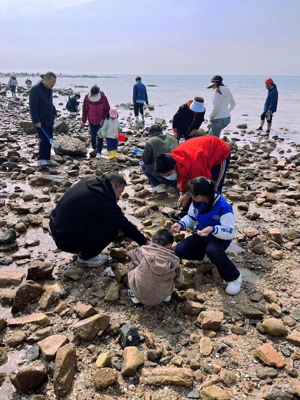 威海国际海水浴场赶海图片