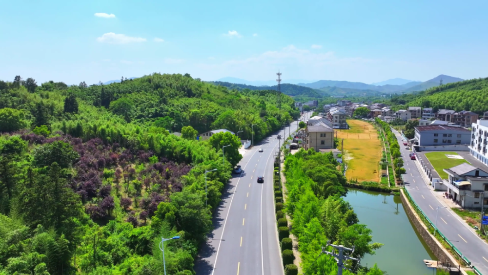 蝶变,从一条路开始