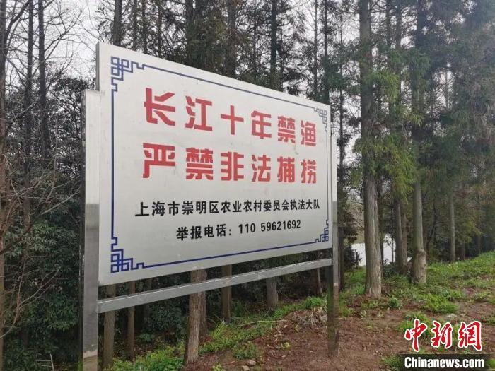万里长江入海口,上海崇明如何建设"世界级生态岛"?
