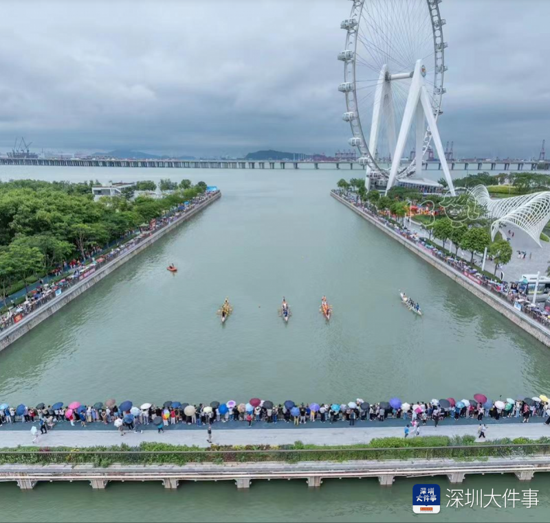 深圳河入海口图片