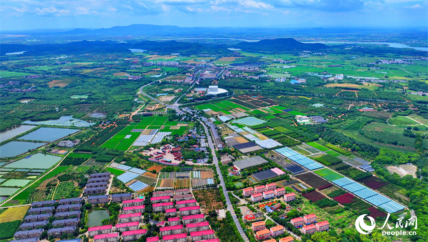 人民网 朱海鹏摄航拍南昌县黄马乡凤凰村,犹如一幅色彩斑斓的和美乡村