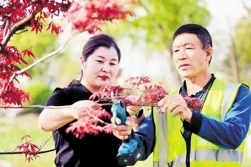 他们，是雄安大地上“闪耀的群星”