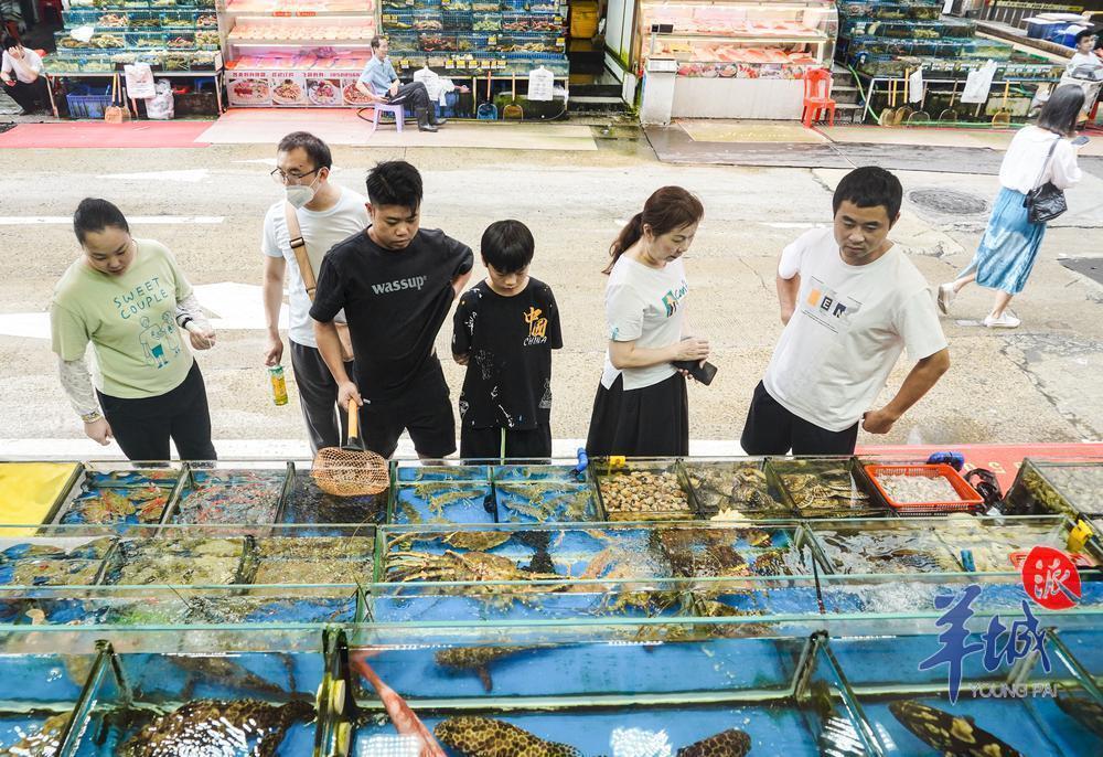 鱼摊摊主麦先生在广州黄沙水产品市场卖海鲜已有五六年了,他档口的水