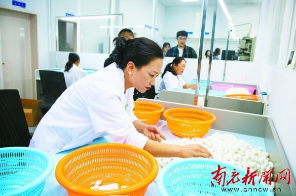 以质检技术"破茧" 促丝绸产业"化蝶"_腾讯新闻