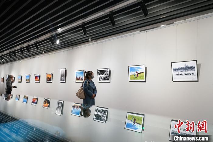青海湖生态摄影展:展现人与自然和谐共生之美