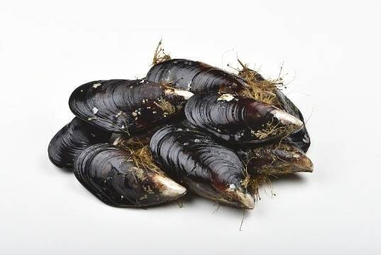 购买,食用海虹因近期海虹中麻痹性贝类毒素超标风险高发近日,秦皇岛市