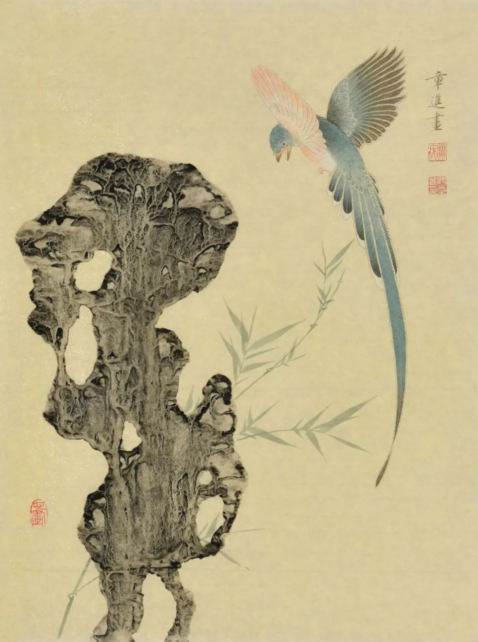 太湖石畔花鸟情丨杨章进