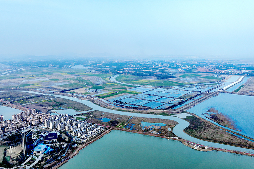 江西共青城:城乡春日美如画