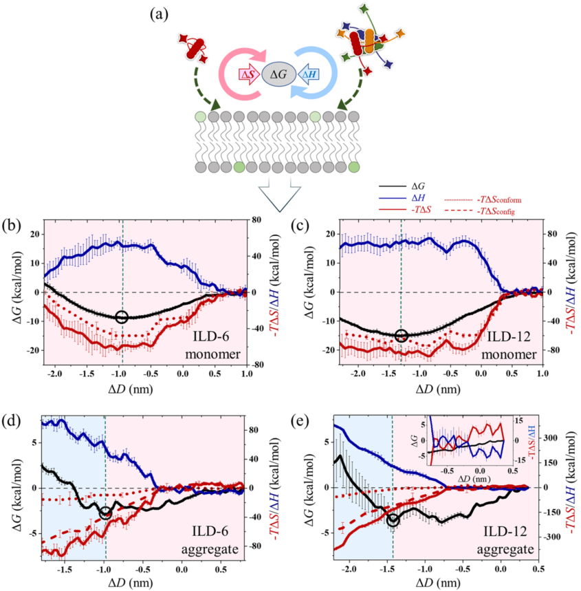 液体基怎么抗菌苏州大学杨凯教授／松山湖材料实验室元冰研究员《ACS Nano》：破解离子液体衍生物抗菌机制_https://www.jmylbn.com_新闻资讯_第6张