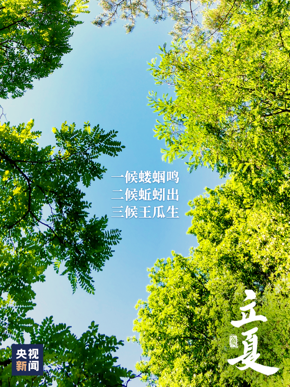 今日立夏!迎接诗情画意的夏天