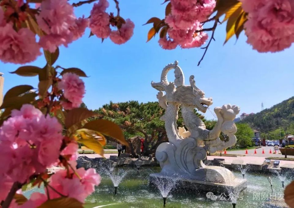 大连樱花观赏地,接下来就去这10个地方赏花