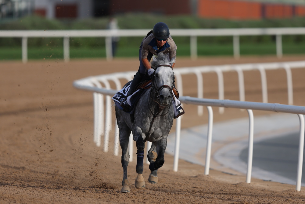 2024迪拜赛马世界杯即将开幕