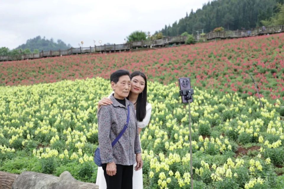 【关注】贵州麻江: 500亩金鱼草热情绽放 开启浪漫花海旅游季