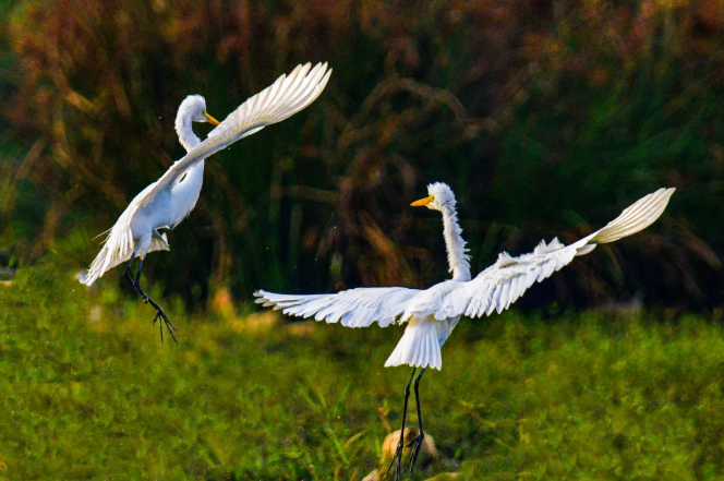 这里是万宁·6月主题活动|"一路书香"田园徒步之旅将于6月8日正式开启