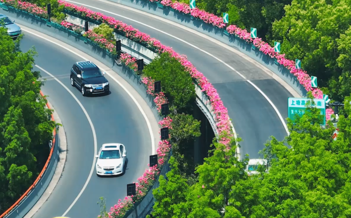 4月下旬,月季花展将以"一展七花园"形式,亮相杭州花圃景区主会场,以及