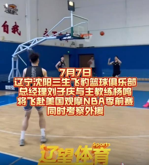 辽篮新外援考察工作开始进行！媒体爆料杨鸣新动向 将前往美国