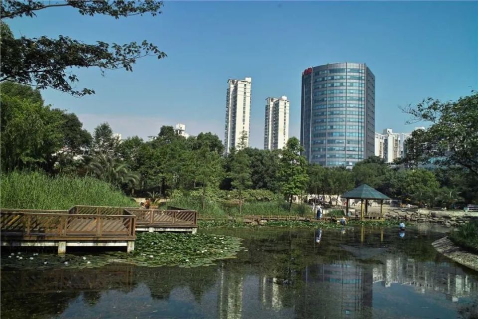 江浦公园面积图片