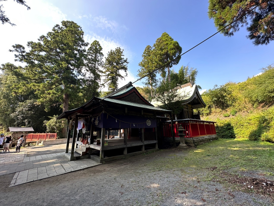 日本观光见闻·九州(3)宫崎县·熊本县(多处绝景!