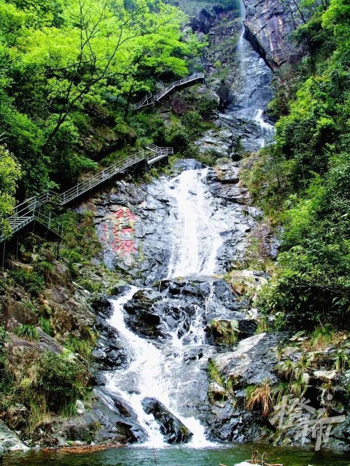 视频钱江源国家公园首次拍到亚洲黑熊一带二