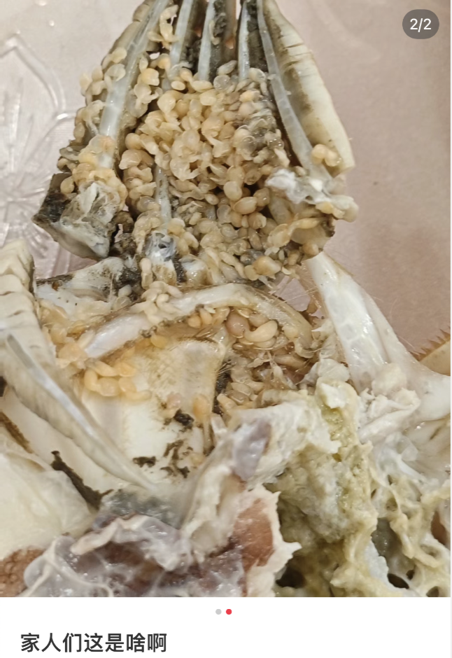 求助海边人,如果螃蟹黑了/冒白沫/有小颗粒