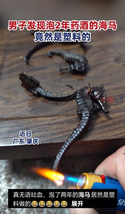 男子发现泡2年药酒的海马海龙是塑料,当事人:托朋友从外省带的,30多元