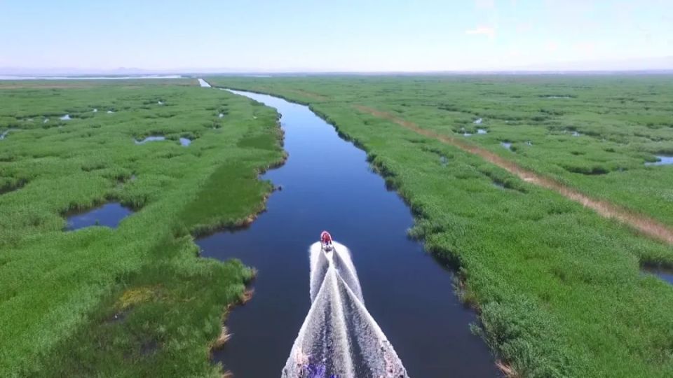 行走黄河"几字弯" 书写绿色"三北情"| 护好"河湖美"