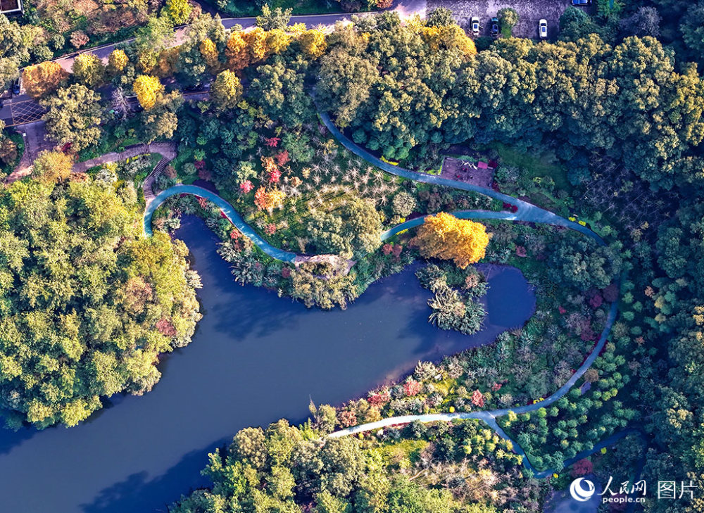 重庆北碚生态守护美丽经济