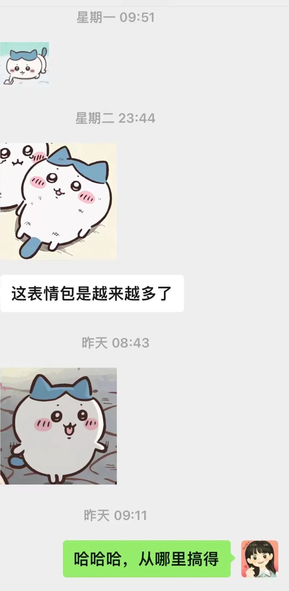猫meme表情包视频,流量时代下负面情绪的解药