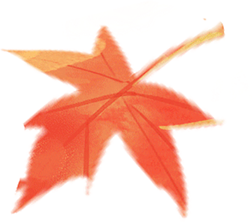 抢救爱情40天__57天婴儿百日咳严重吗