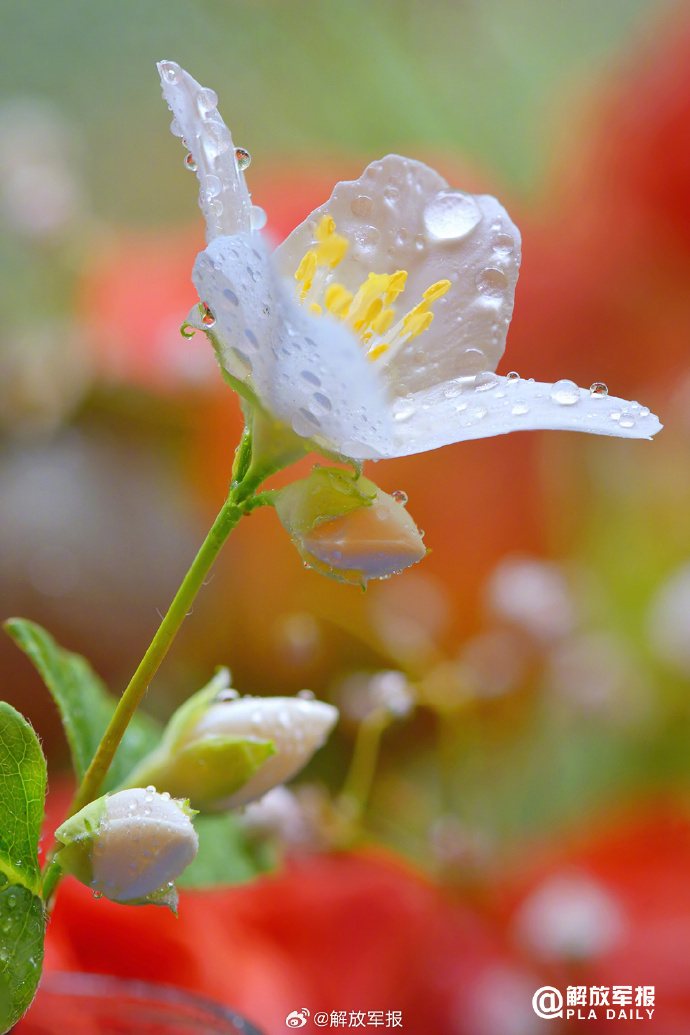 今日,谷雨