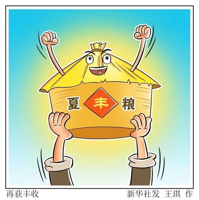 细化专项金融服务方案,辖区内5家支行均成立夏粮收购服务队,在22个