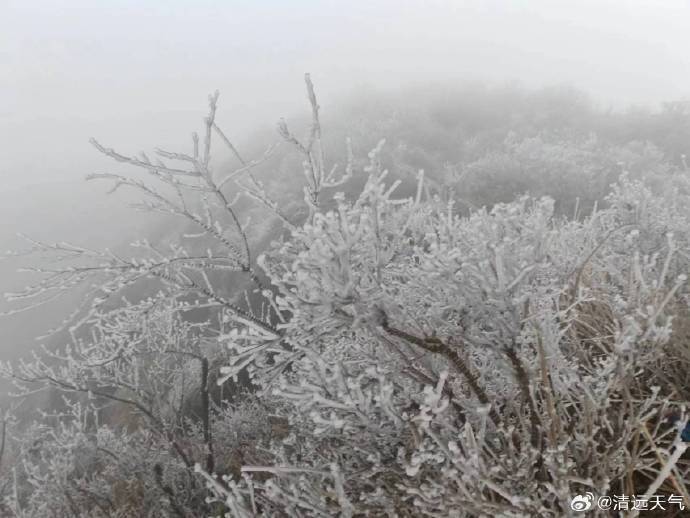 最低2℃，广州市区今晨更冷！但升温已在路上_腾讯新闻