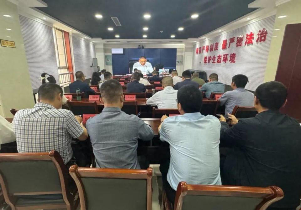 省生态环境厅固体废物与化学品处处长庞涛围绕"守牢美丽中国建设安全