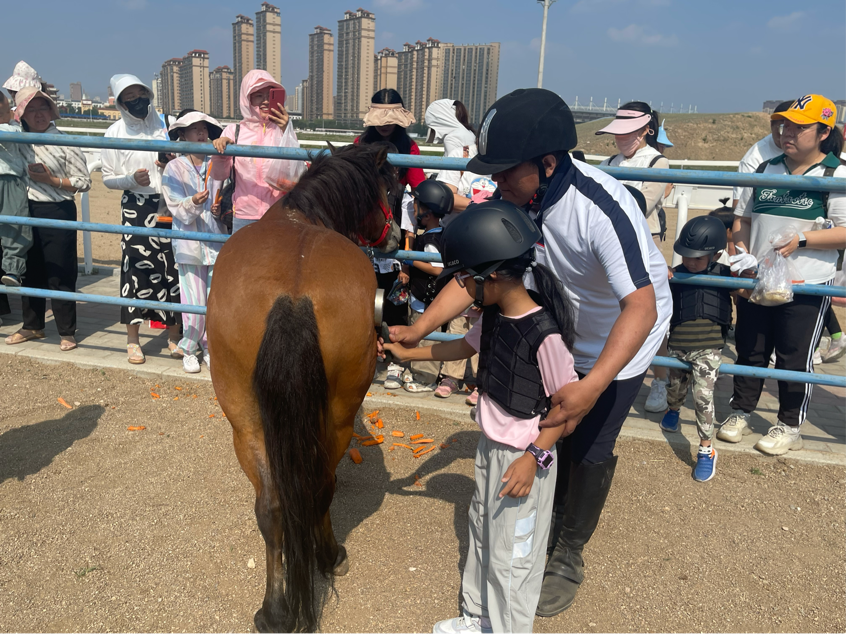 内蒙古赛马场面向中小学开展"马术文化研学"教学实践活动-腾讯新闻