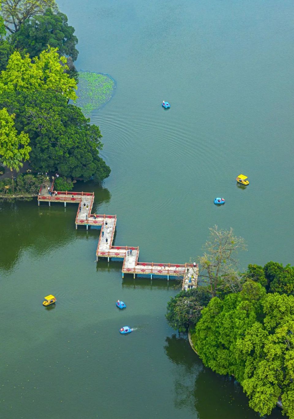 徜徉绿地,满眼绿色太治愈了!