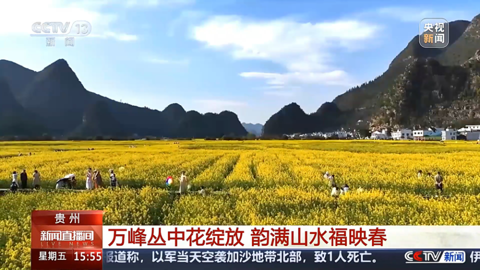 央视《新闻直播间》关注贵州兴义万峰林6000多亩油菜花进入盛花期_腾讯新闻